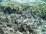 PICT0013.JPG